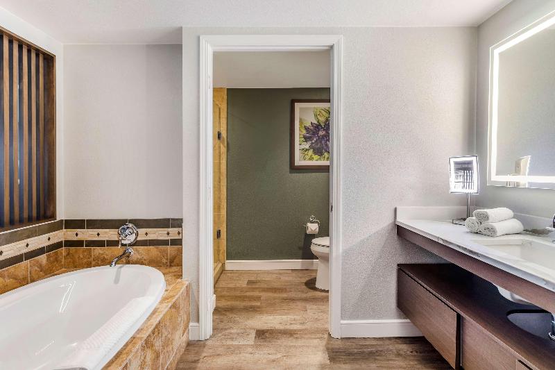 סטודיו סטנדרט, מיטה זוגית, Hilton Grand Vacations Club Flamingo Las Vegas