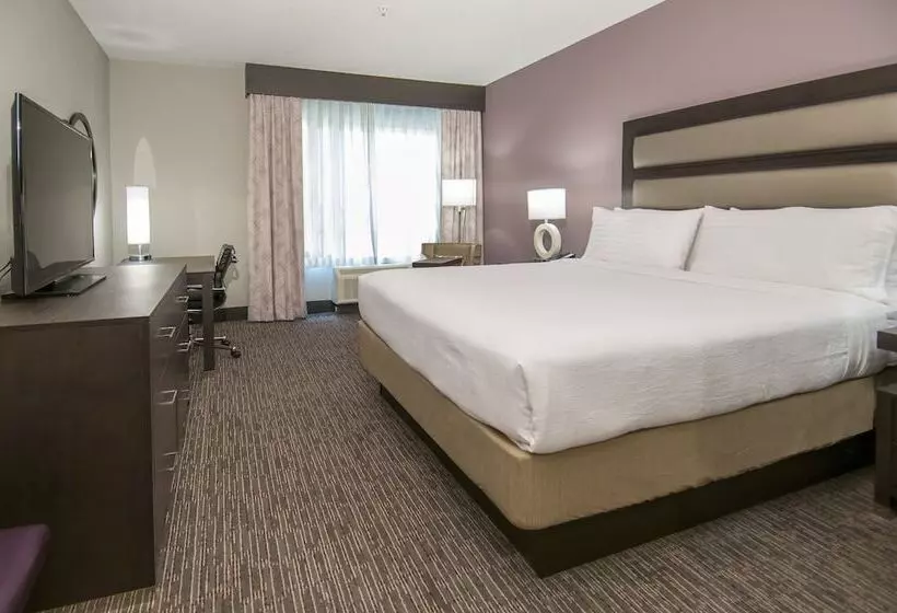 اتاق استاندارد, Holiday Inn   New Orleans Airport North, An Ihg