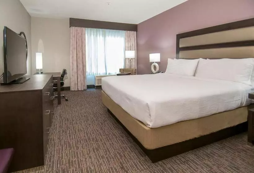 اتاق سوپریور, Holiday Inn   New Orleans Airport North, An Ihg