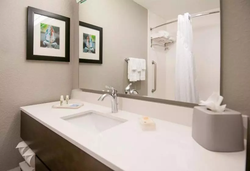 اتاق سوپریور, Holiday Inn   New Orleans Airport North, An Ihg