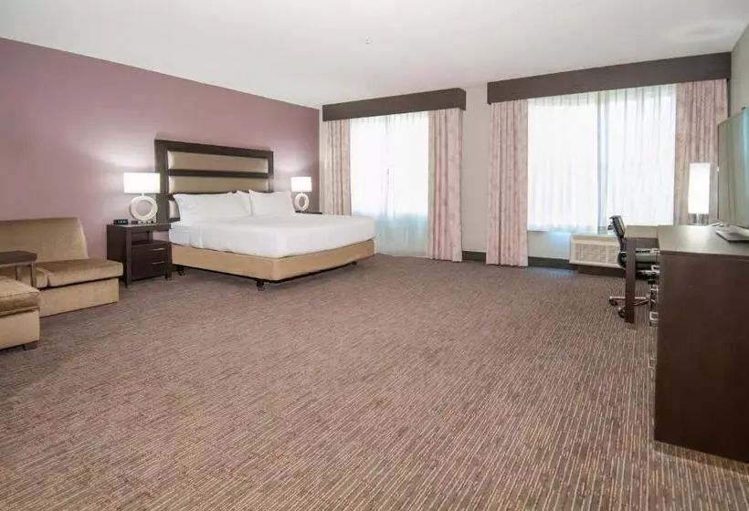 اتاق استاندارد با تخت بزرگ, Holiday Inn   New Orleans Airport North, An Ihg