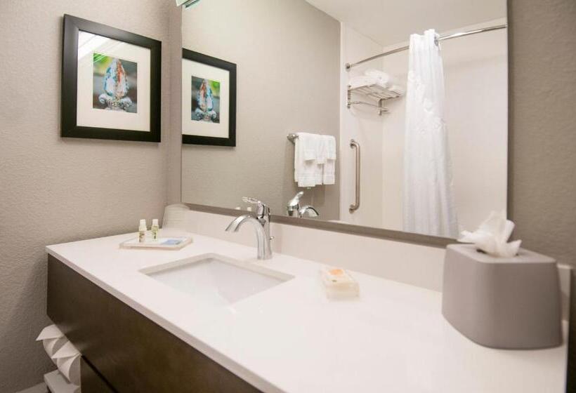 Standard Room King Bed Adapted for people with reduced mobility, Holiday Inn   New Orleans Airport North, An Ihg