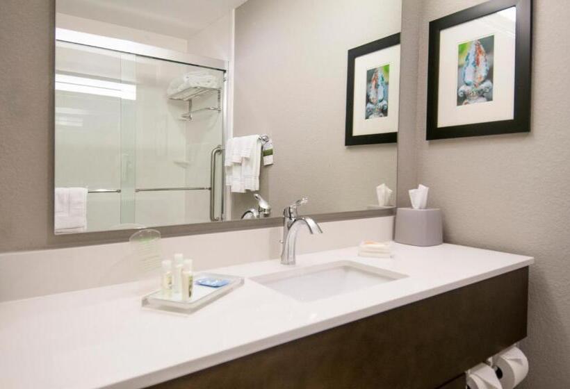 غرفة قياسية سرير كينج لذوى الإحتياجات الخاصة, Holiday Inn   New Orleans Airport North, An Ihg