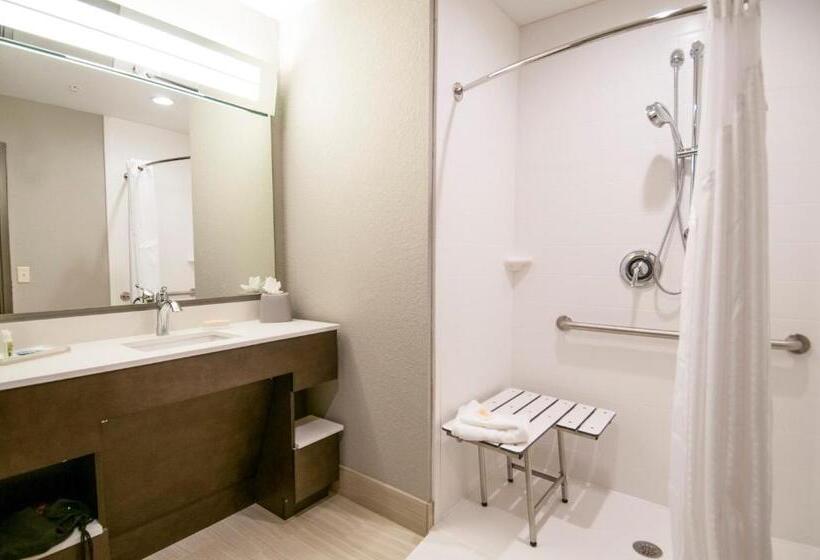 Standard Room King Bed Adapted for people with reduced mobility, Holiday Inn   New Orleans Airport North, An Ihg