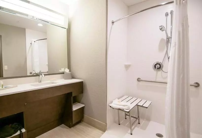 اتاق استاندارد با تخت بزرگ برای معلولان, Holiday Inn   New Orleans Airport North, An Ihg