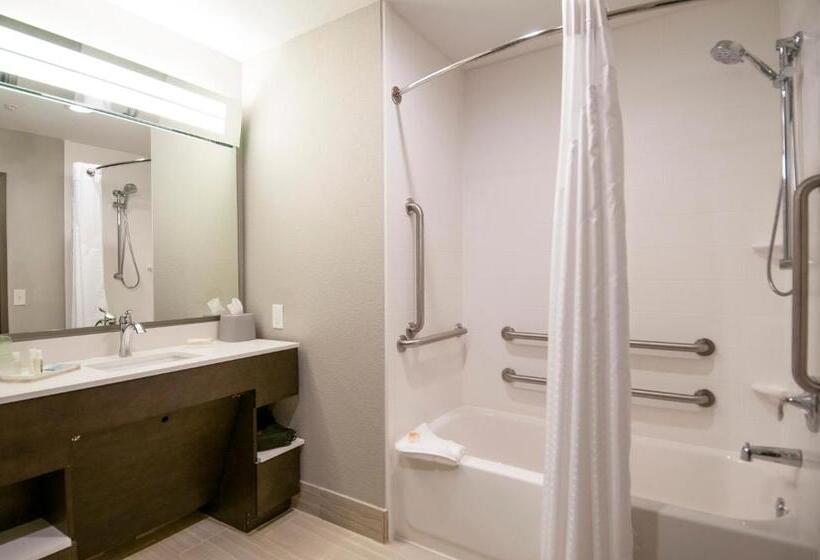 غرفة قياسية لذوى الاحتياجات الخاصة, Holiday Inn   New Orleans Airport North, An Ihg