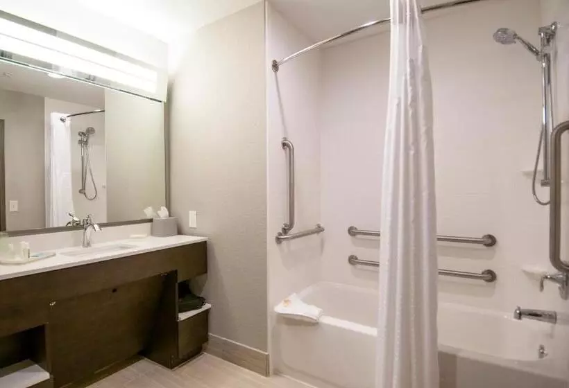 اتاق استاندارد برای معلولان, Holiday Inn   New Orleans Airport North, An Ihg