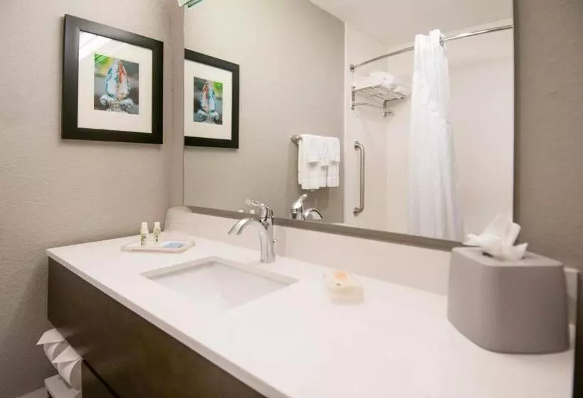 اتاق استاندارد برای معلولان, Holiday Inn   New Orleans Airport North, An Ihg