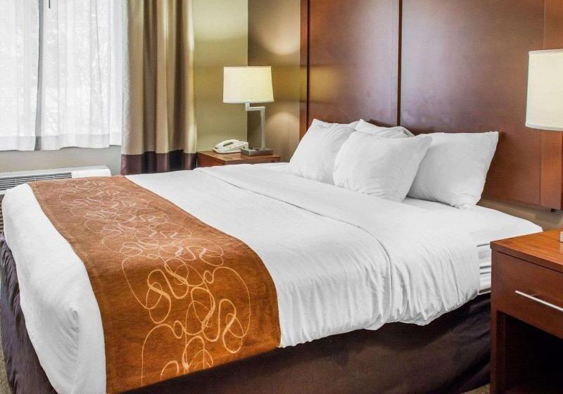 غرفة ديلوكس سرير كينج, La Quinta Inn By Wyndham Waldorf