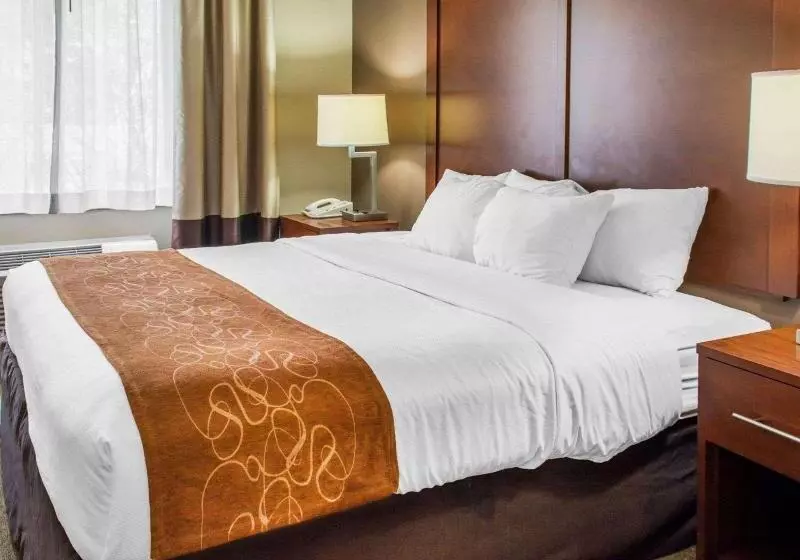 キングサイズベッドのデラックスルーム, La Quinta Inn By Wyndham Waldorf