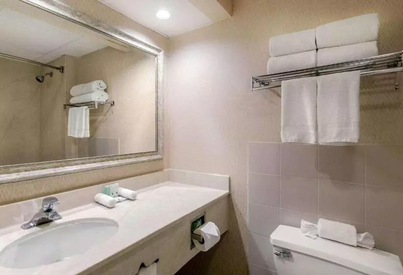キングサイズベッドのスタンダードルーム, Quality Inn Edisonnew Brunswick