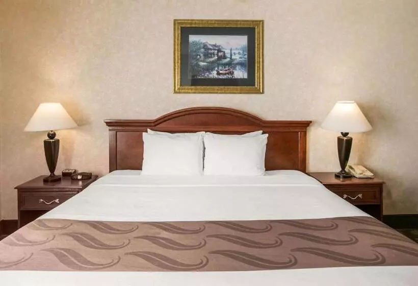キングサイズベッドのスタンダードルーム, Quality Inn Edisonnew Brunswick