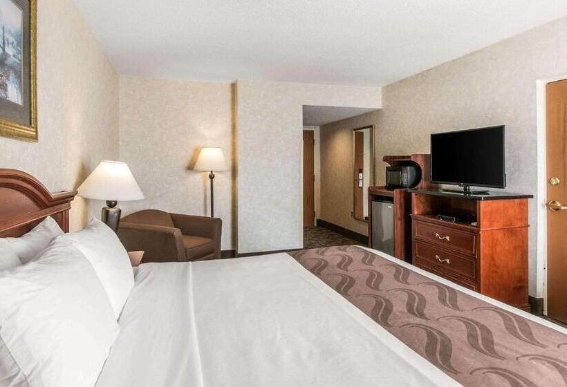 스탠다드 룸 킹사이즈 침대, Quality Inn Edisonnew Brunswick