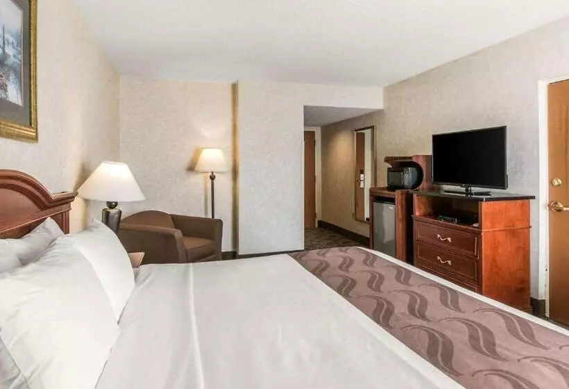 キングサイズベッドのスタンダードルーム, Quality Inn Edisonnew Brunswick