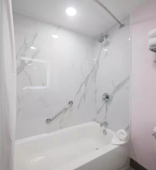 اتاق استاندارد با 2 تخت دوبل, B&b Hotel Miami Airport