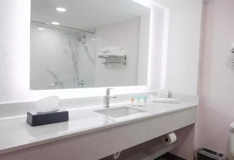 اتاق استاندارد با 2 تخت دوبل, B&b Hotel Miami Airport
