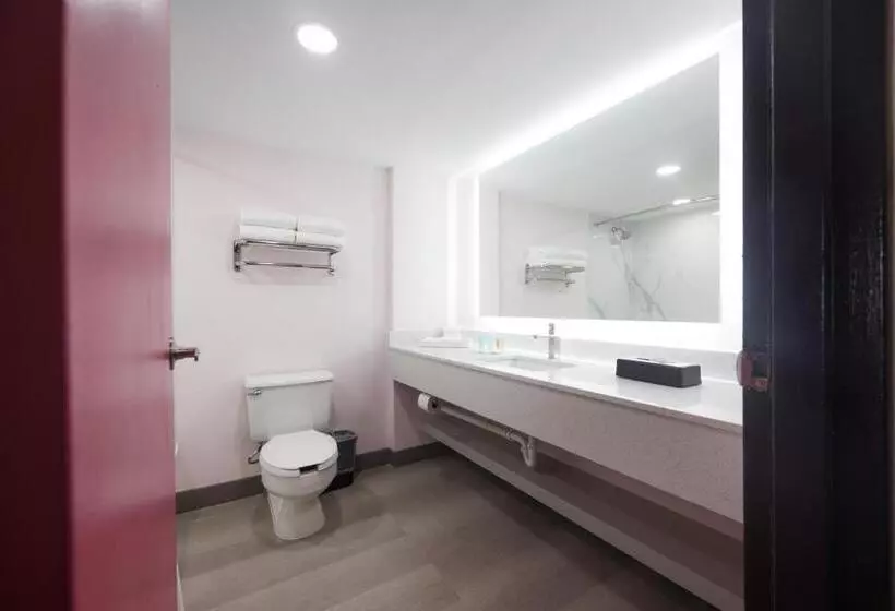 اتاق استاندارد با تخت بزرگ, B&b Hotel Miami Airport