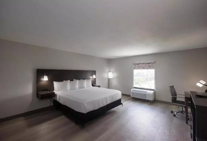 اتاق استاندارد با تخت بزرگ, B&b Hotel Miami Airport
