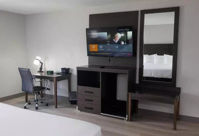 اتاق استاندارد با تخت بزرگ, B&b Hotel Miami Airport