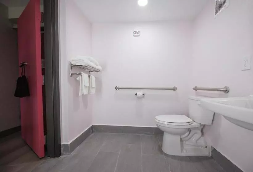 اتاق استاندارد با تخت بزرگ برای معلولان, B&b Hotel Miami Airport