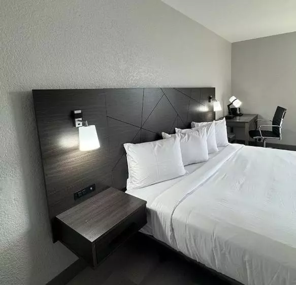 اتاق استاندارد با تخت بزرگ برای معلولان, B&b Hotel Miami Airport