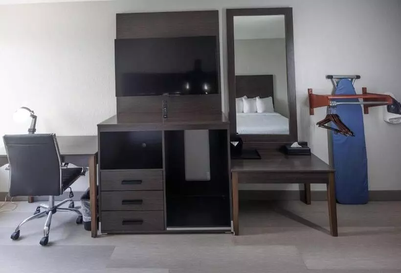 اتاق استاندارد با تخت بزرگ برای معلولان, B&b Hotel Miami Airport