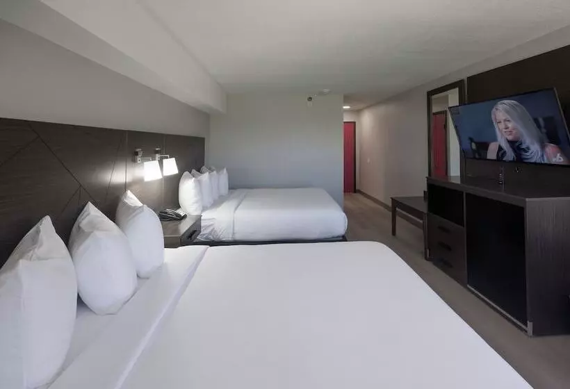 اتاق استاندارد با 2 تخت دوبل, B&b Hotel Miami Airport