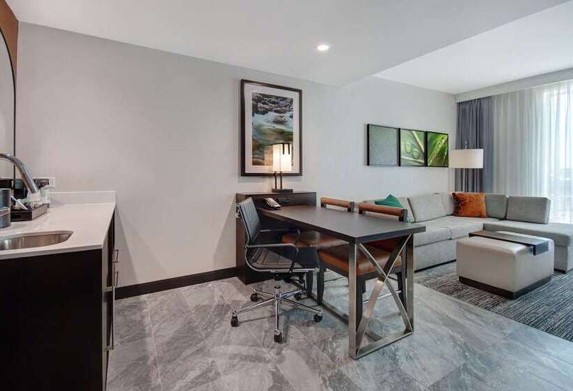 Люкс, Doubletree By Hilton Houston Medical Center Hotel & Suites