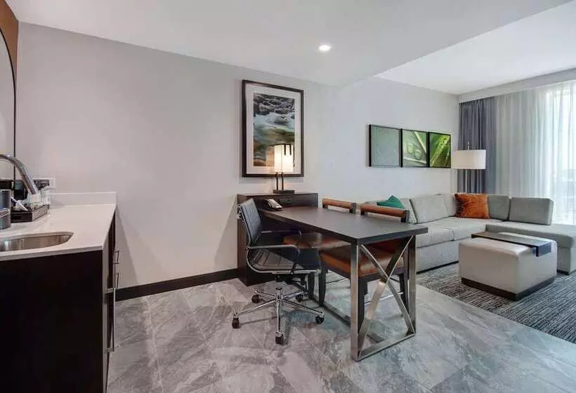 スイート, Doubletree By Hilton Houston Medical Center Hotel & Suites