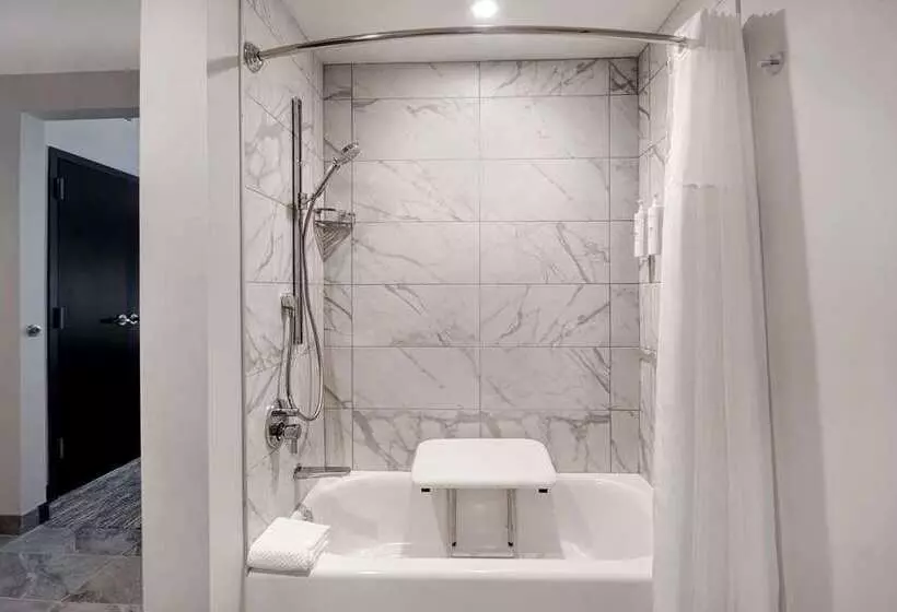 スイート, Doubletree By Hilton Houston Medical Center Hotel & Suites
