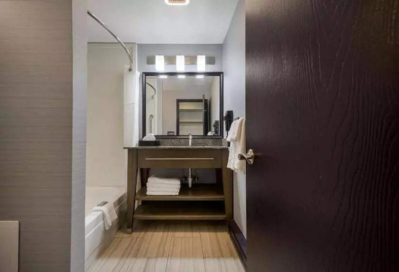 キングサイズベッドのスタンダードルーム, Best Western Freeport Inn
