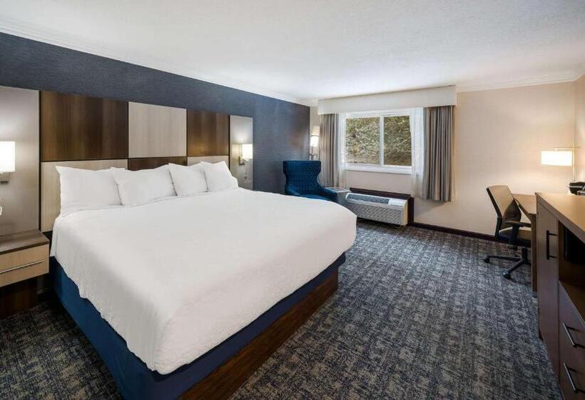 غرفة قياسية سرير كينج, Best Western Freeport Inn