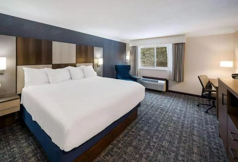 キングサイズベッドのスタンダードルーム, Best Western Freeport Inn