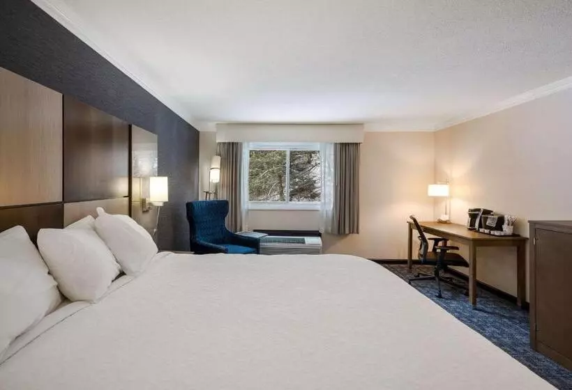 キングサイズベッドのスタンダードルーム, Best Western Freeport Inn