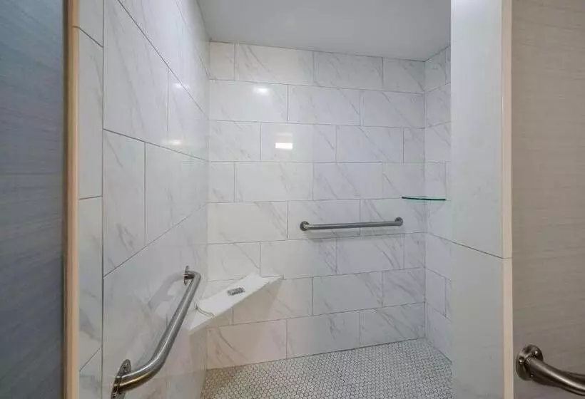 身障者適用キングサイズベッドルーム, Best Western Freeport Inn