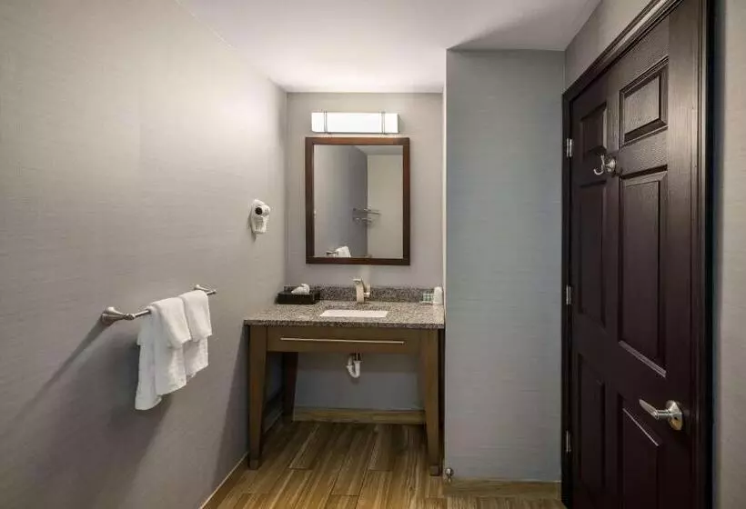 身障者適用キングサイズベッドルーム, Best Western Freeport Inn