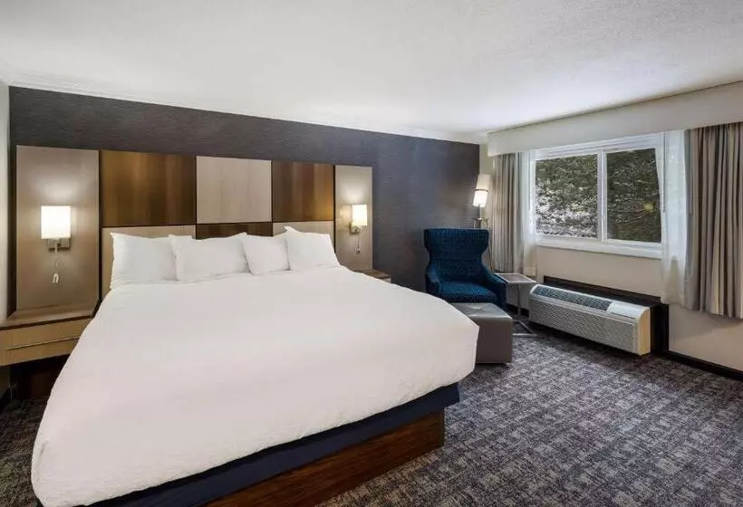 身障者適用キングサイズベッドルーム, Best Western Freeport Inn