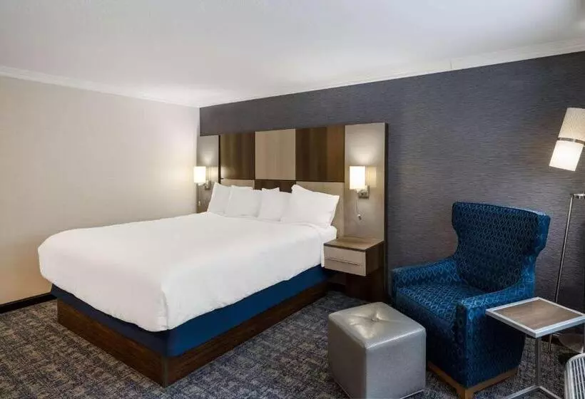 身障者適用キングサイズベッドルーム, Best Western Freeport Inn