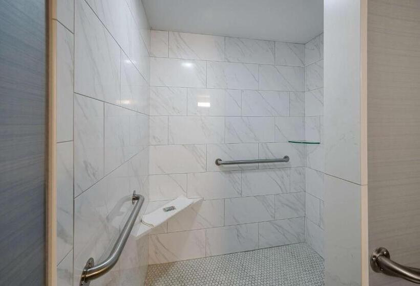 غرفة قياسية لذوى الاحتياجات الخاصة, Best Western Freeport Inn