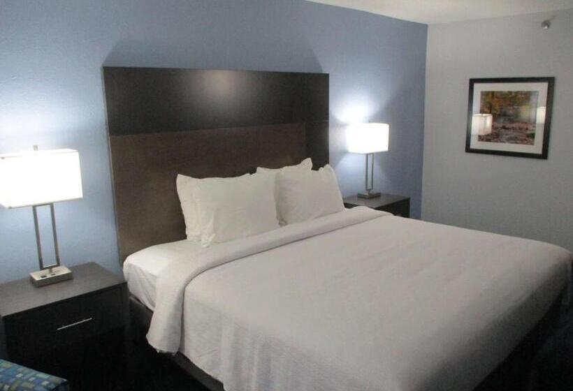 스탠다드 룸 킹사이즈 침대, Best Western Southwest Little Rock