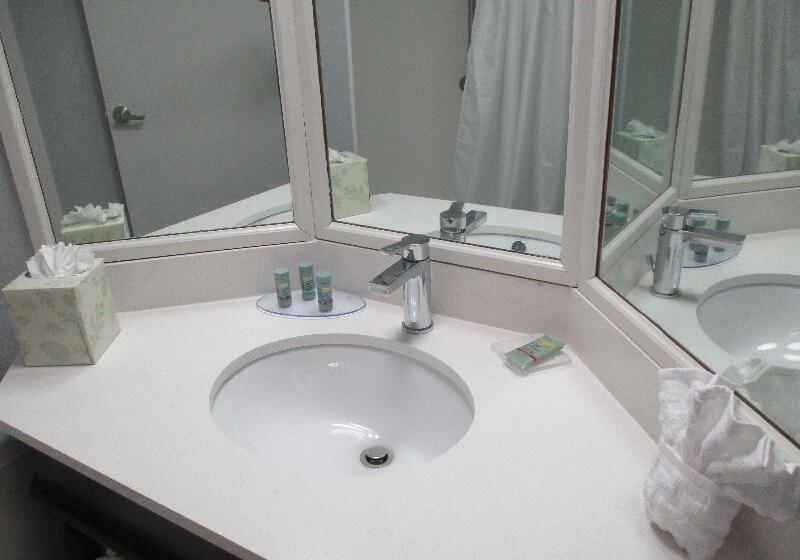 스탠다드 룸 킹사이즈 침대, Best Western Southwest Little Rock