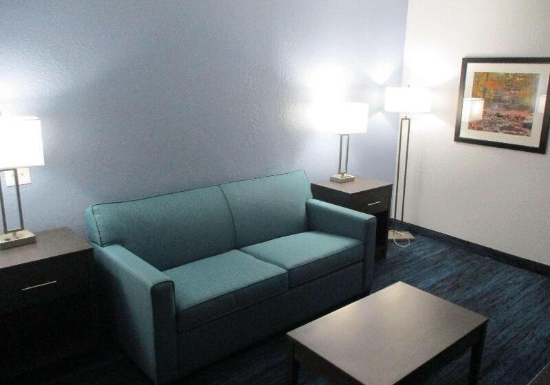 스탠다드 룸 킹사이즈 침대, Best Western Southwest Little Rock