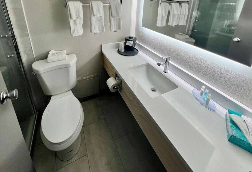 스탠다드 룸 더블 침대 2개, Clarion Hotel & Convention Center Joliet