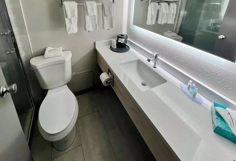 ２ダブルベッドのスタンダードルーム, Clarion Hotel & Convention Center Joliet