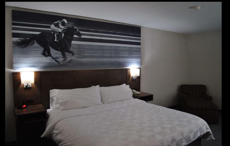 身障者適用スタンダードルーム, Clarion Pointe Hopkinsville near The Bruce Convention Center