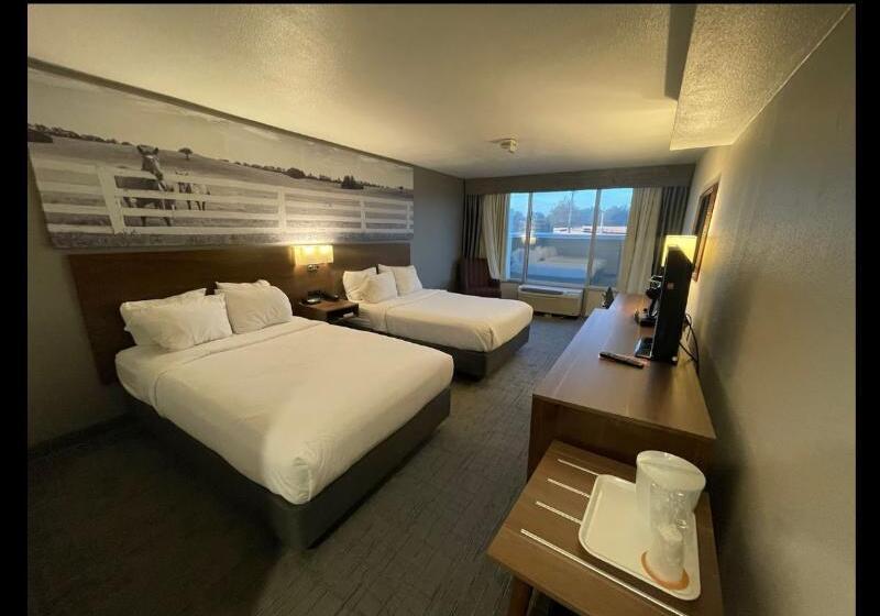 身障者適用スタンダードルーム, Clarion Pointe Hopkinsville near The Bruce Convention Center