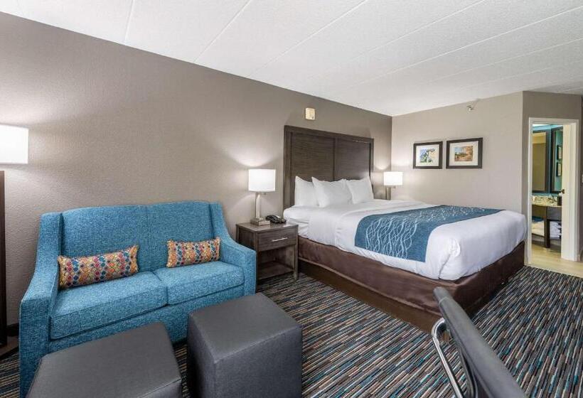Стандартный Номер Кровать Кинг, Comfort Inn Chicago Schaumburg O Hare Airport