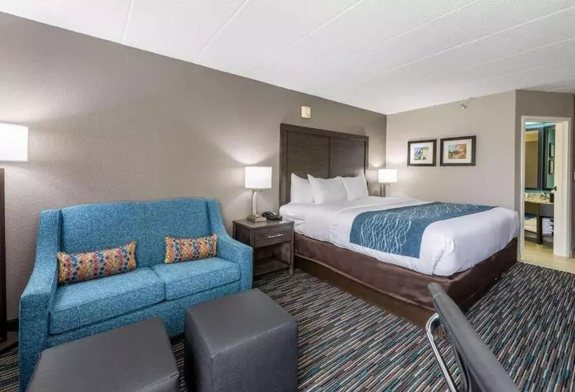 Standard-huone King-vuode, Comfort Inn Chicago Schaumburg  O Hare Airport