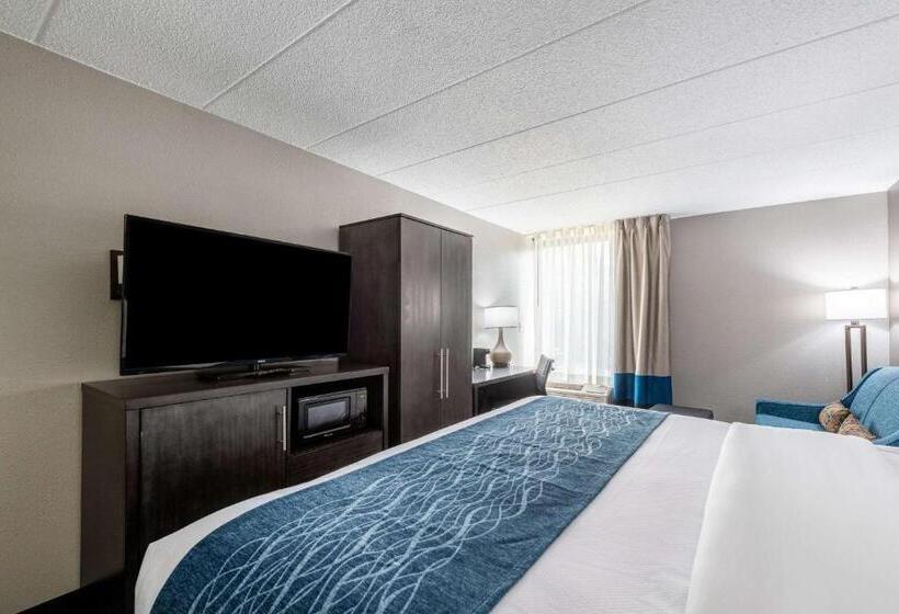 스탠다드 룸 킹사이즈 침대, Comfort Inn Chicago Schaumburg  O Hare Airport