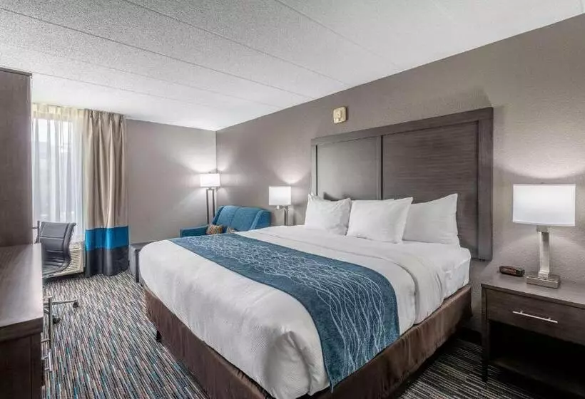 Standard-huone King-vuode, Comfort Inn Chicago Schaumburg  O Hare Airport